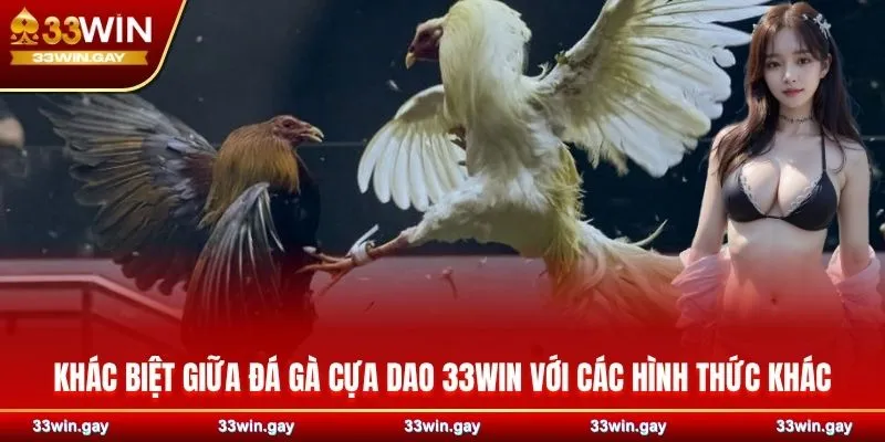 Đá gà cựa dao 33WIN - Những màn so tài sinh tử đầy máu lửa 3 Điểm khác biệt giữa đá gà cựa dao 33WIN với các hình thức khác
